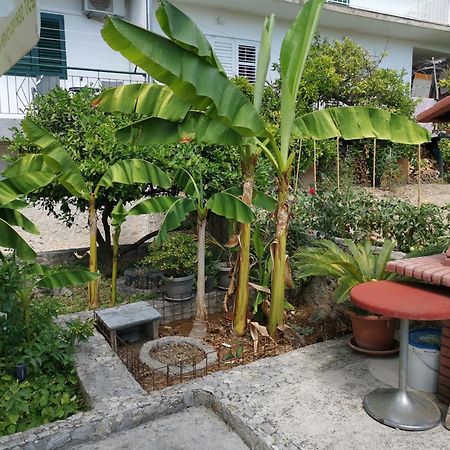 Apartmani Rudelj ماكارسكا المظهر الخارجي الصورة
