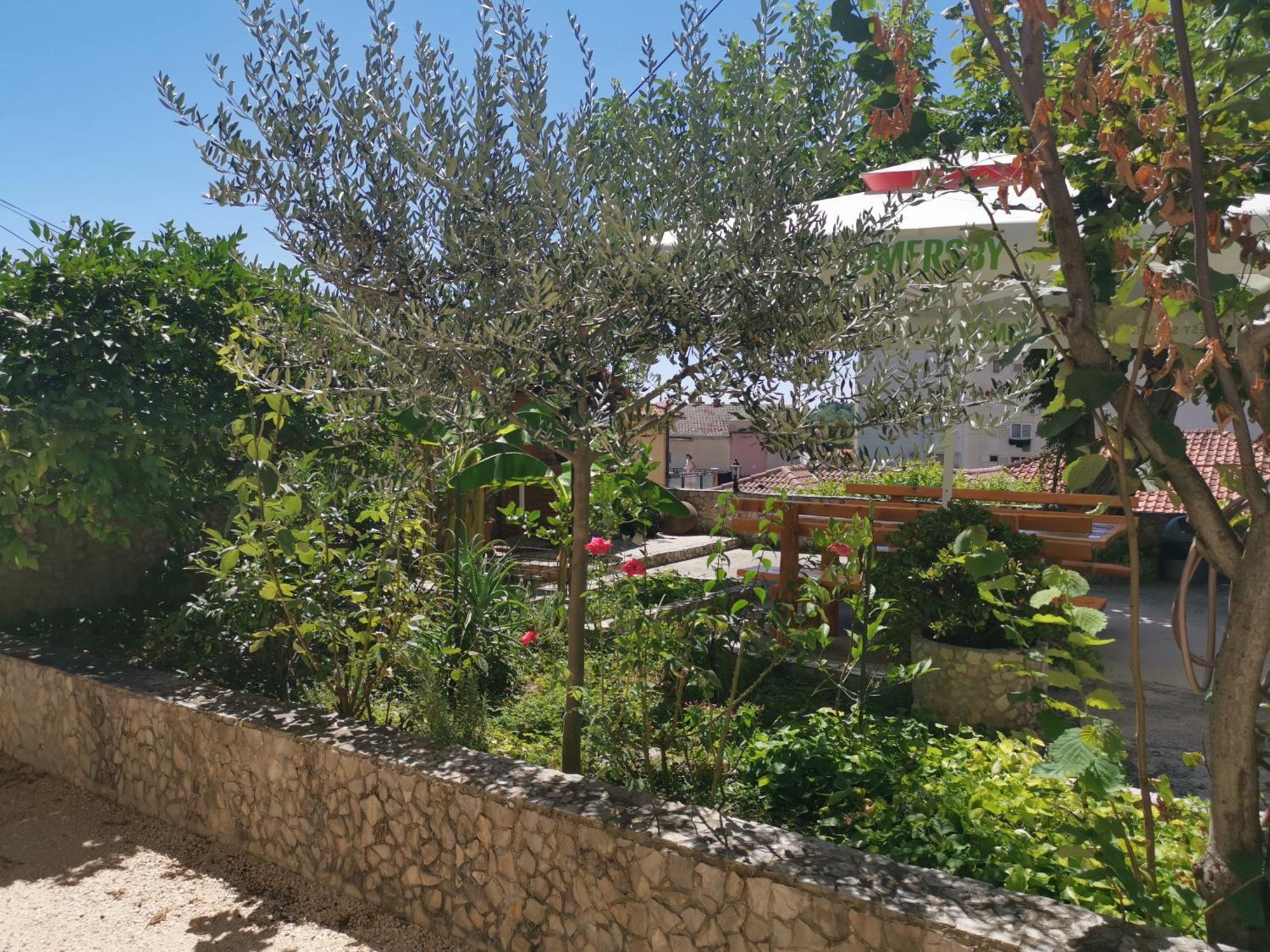Apartmani Rudelj ماكارسكا الغرفة الصورة