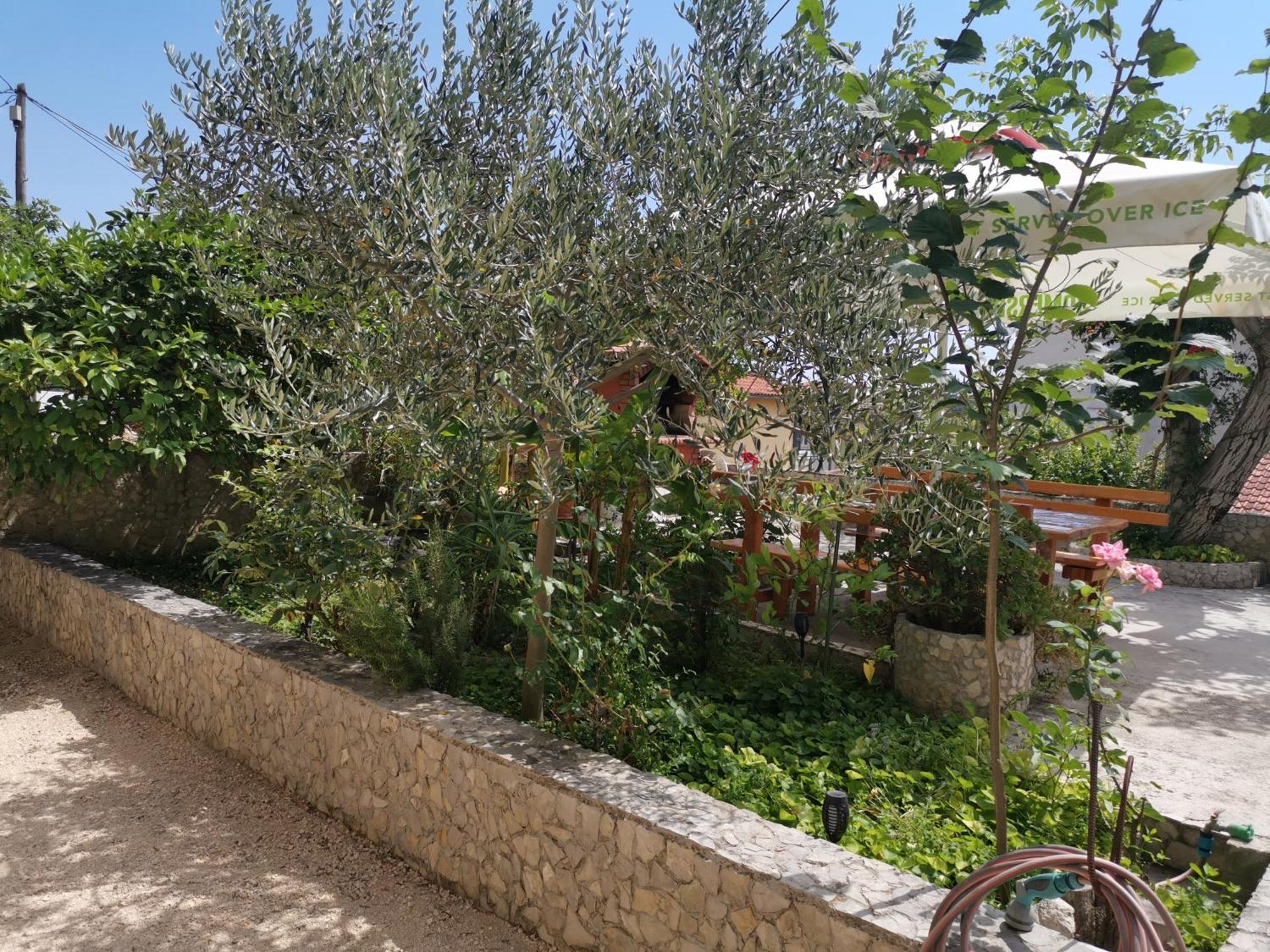 Apartmani Rudelj ماكارسكا المظهر الخارجي الصورة